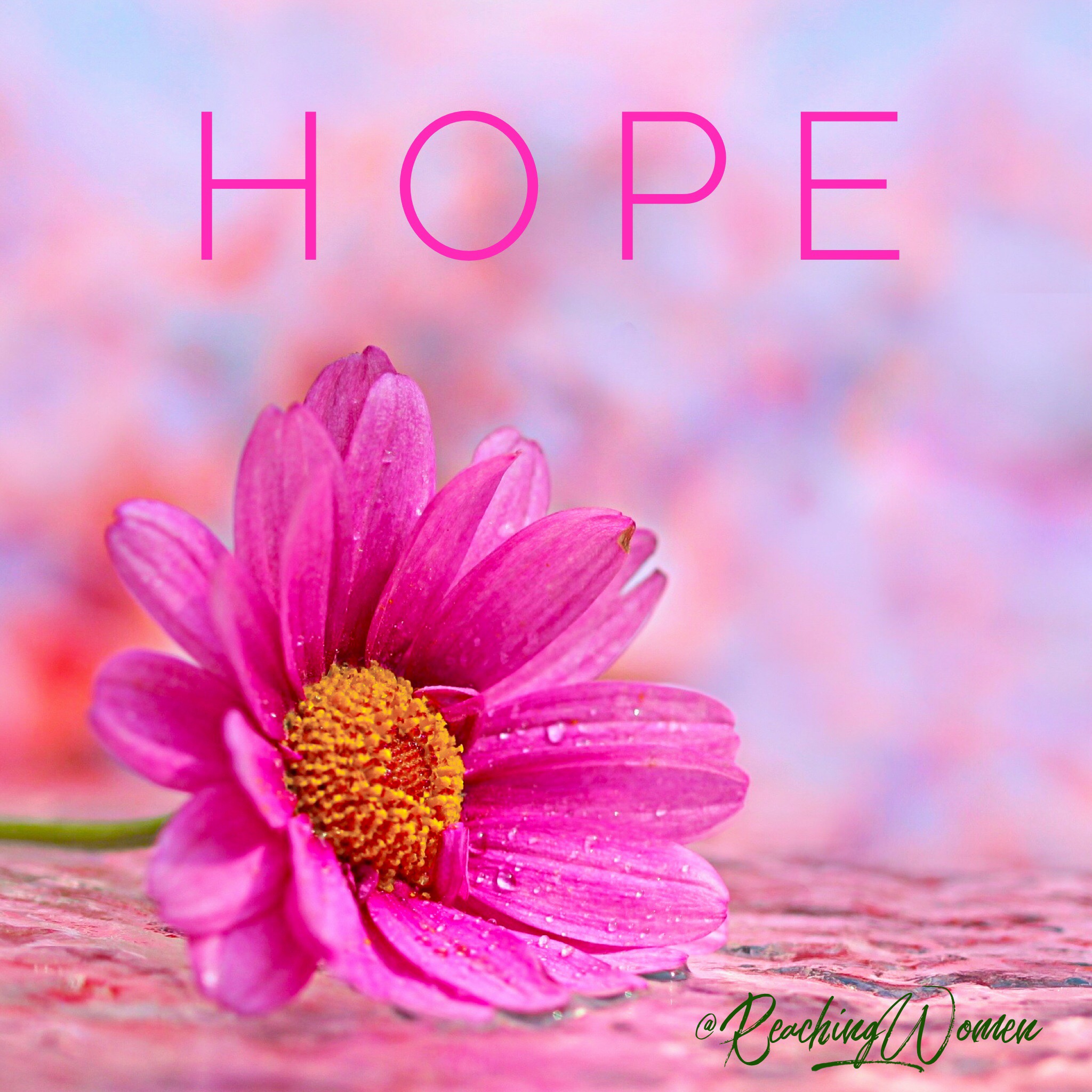 THE TWELVE LIFE RECOVERY GIFTS :: HOPE – Reaching Hurting Women Ministries